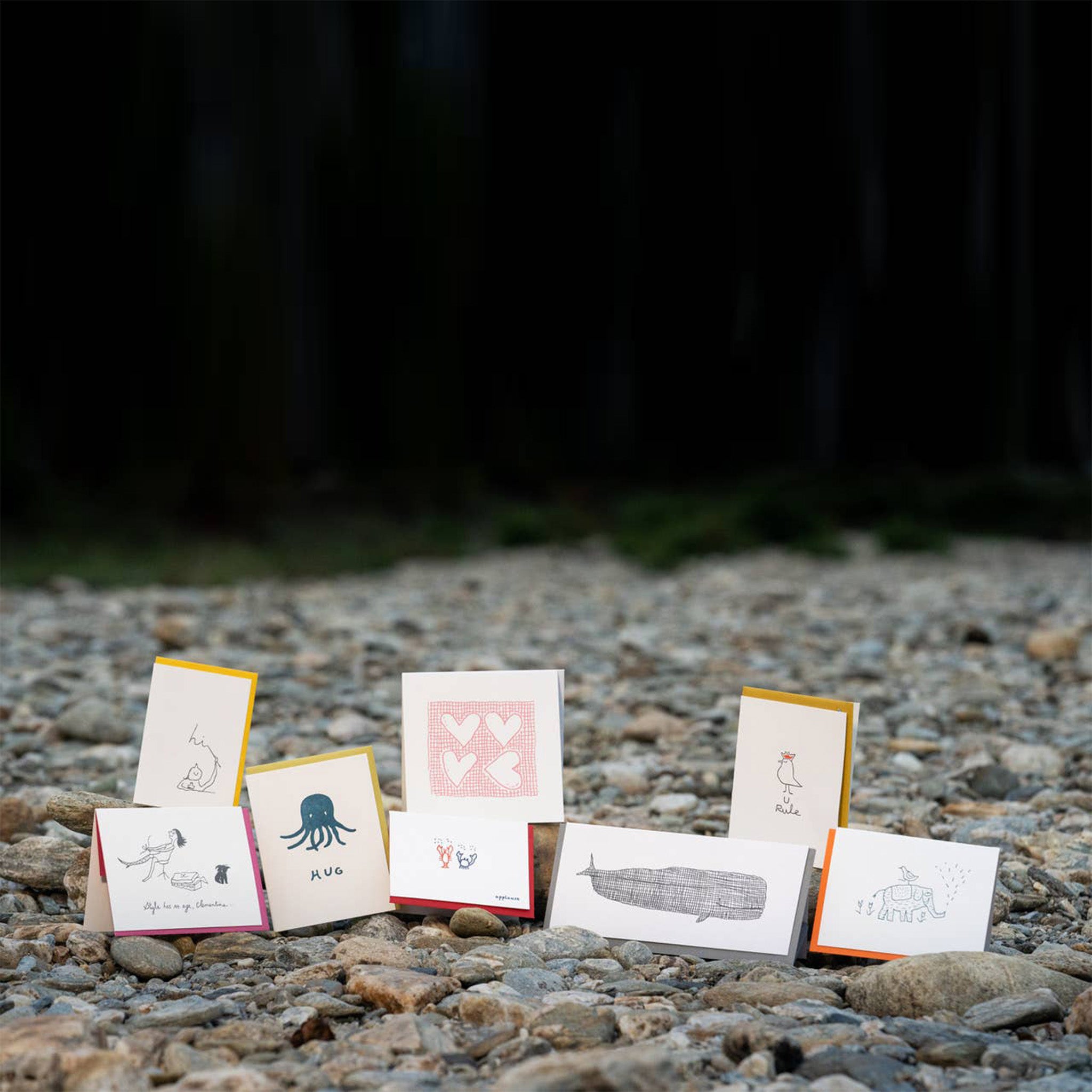 Whale Card Set Display
