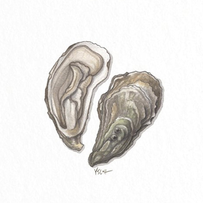 card | oysters | yeesan loh