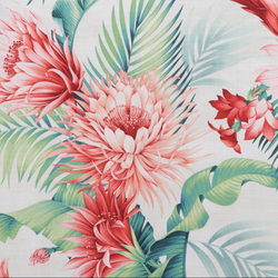tommy bahama coral harbor | cotton | vault premium
