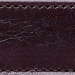 aubergine 1