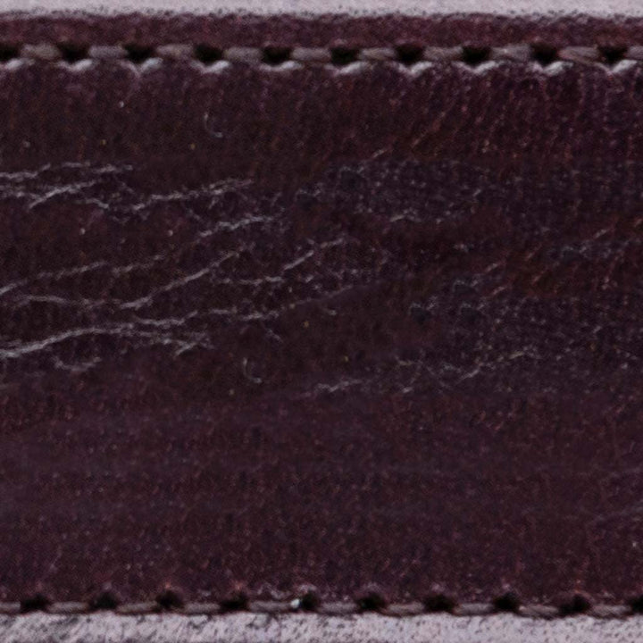 aubergine 1