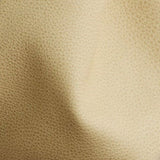 beach sand | swatches not available for purchase