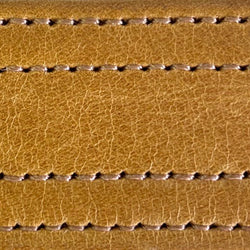 goldenrod narrow strap | swatch