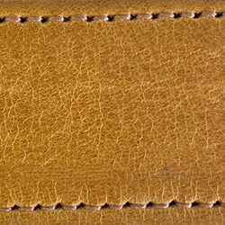 goldenrod 1