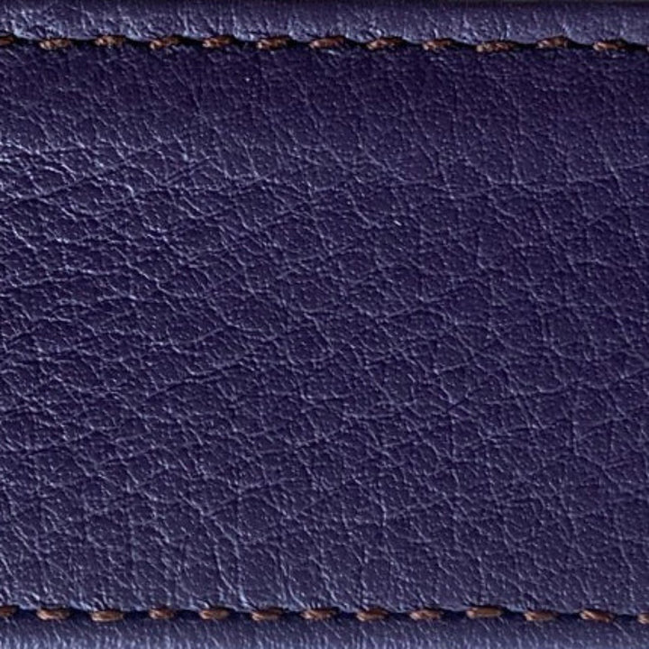 hosta strap | two-stitch wide | swatch