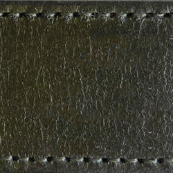 pine | pine one inch swatch