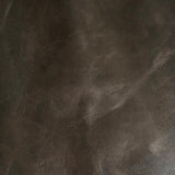 premium truffle | swatch