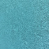 robin blue | swatch
