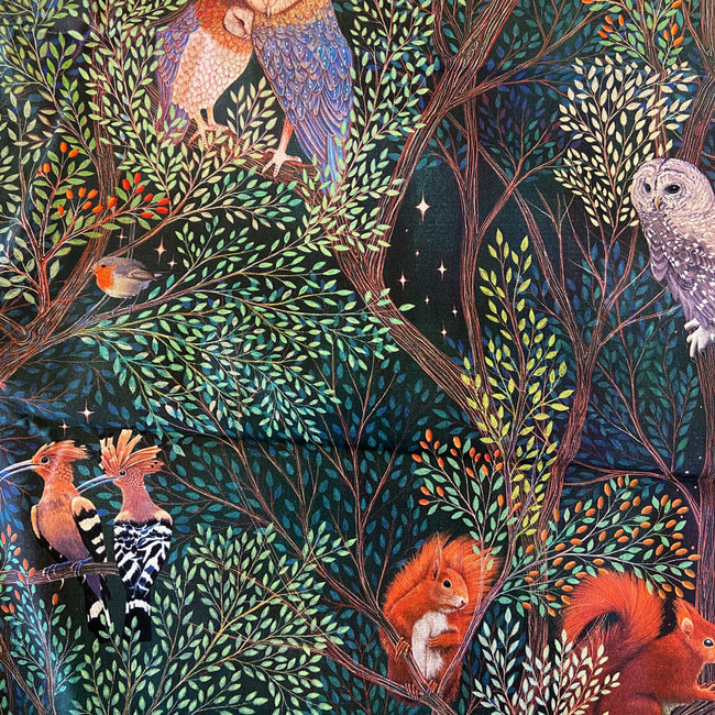 squirrel dreams | linen | vault