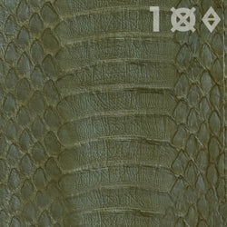 olive python | waitlist | swatch