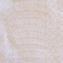pale pink python | waitlist | swatch