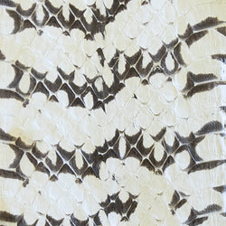 natural starburst python | waitlist | swatch