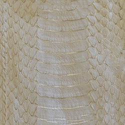 beige python | waitlist | swatch
